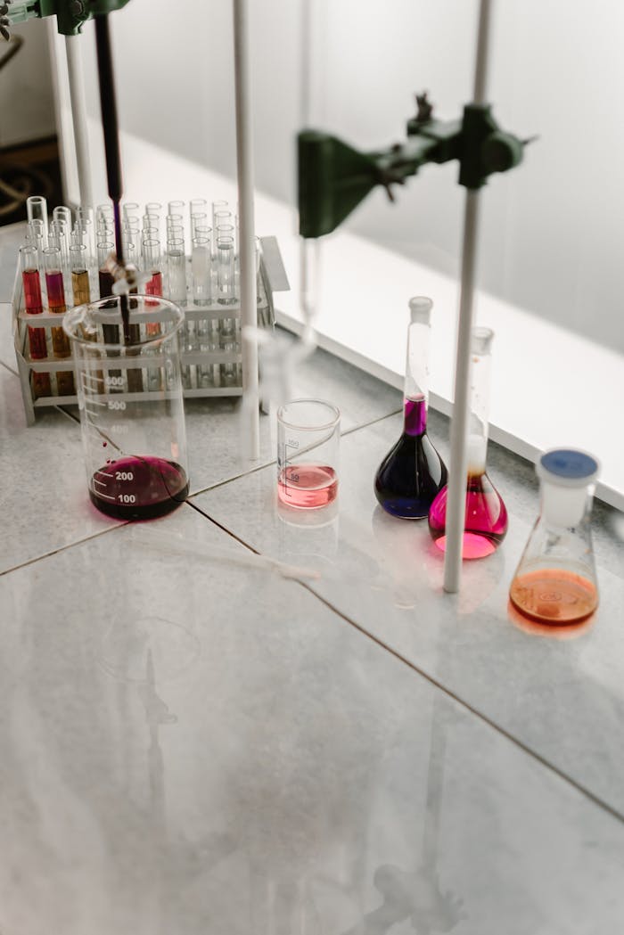Colorful chemical flasks and test tubes arranged in a laboratory setting, showcasing research and experimentation.