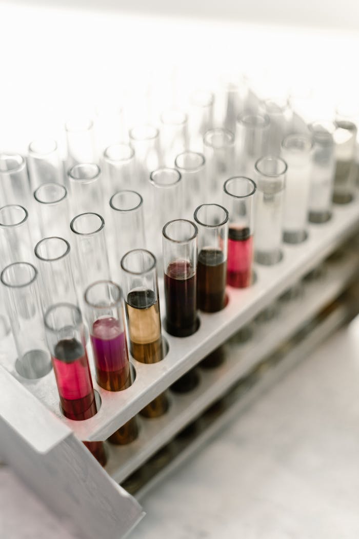 A close-up view of test tubes with colorful liquids in a laboratory environment.
